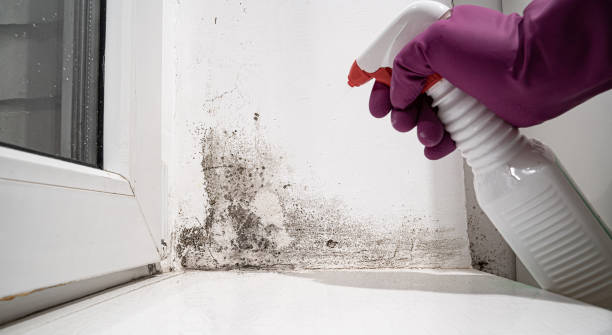 Water damage restoration insurance claims in Spencer, OK